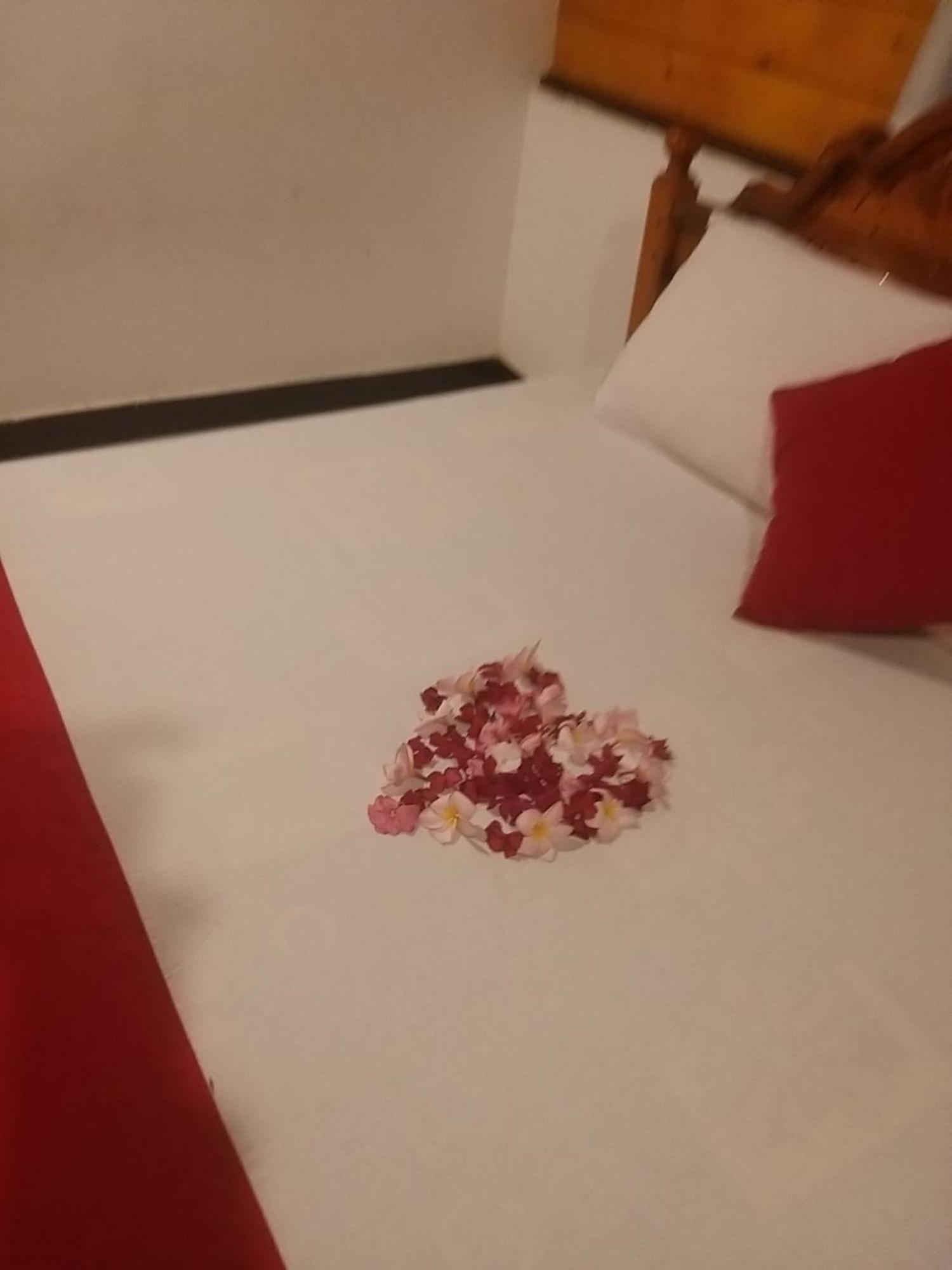 Hotel Dot Bey Beach Cabana Trikunamalaja Zewnętrze zdjęcie