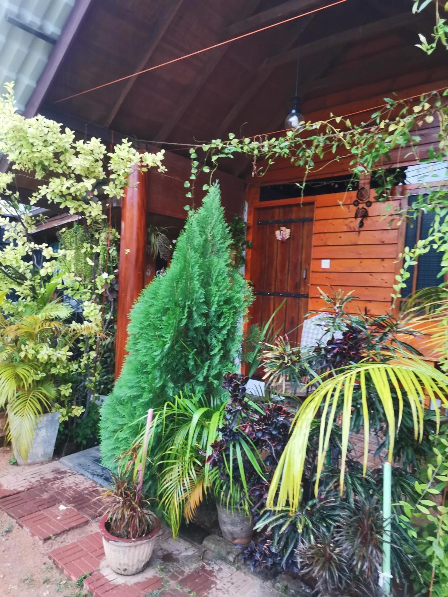 Dot Bey Beach Cabana Trikunamalaja Zewnętrze zdjęcie